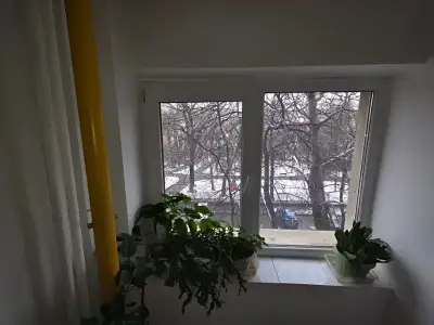 Apartament de vanzare in Sector 4 Bucuresti fereastra cu planta